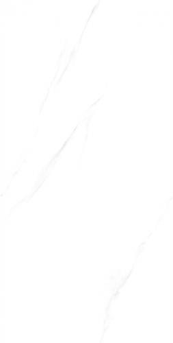 C12W601科罗拉_04