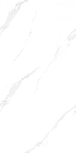 CY6715Y310L_04-(2)_new