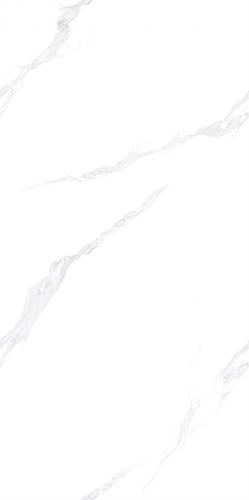 CY6715Y310L_04-(3)_new