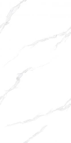 CY6715Y310L_04-(4)_new