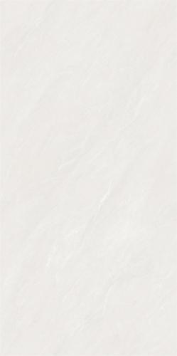 CT6612Y297L---(2)