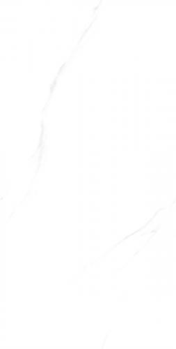 C12W601