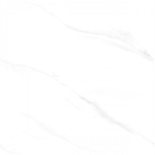 CT688Y510L_03