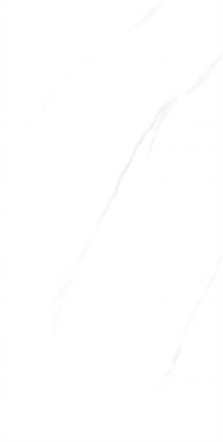 C684Q201-CT6612Y201_02