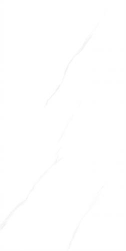 C684Q201-CT6612Y201_04