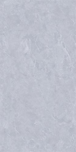 C684Q11L_04