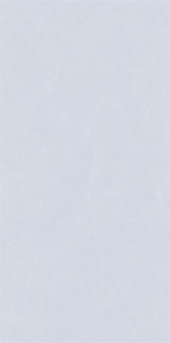 C684Q206L