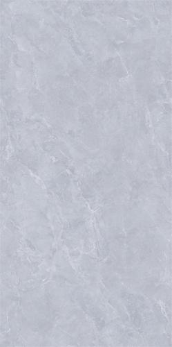 C684Q11L