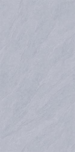 CT6715Y209L-(2)