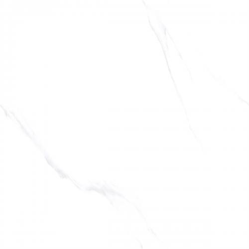 C8W601