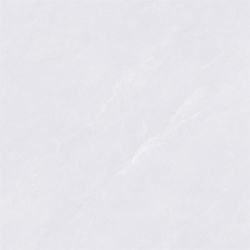 C8W603