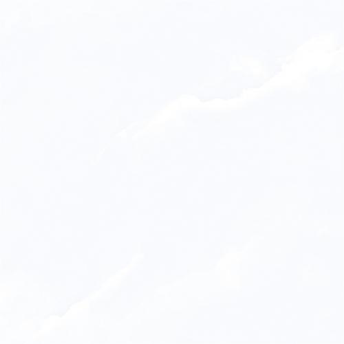 C8W602