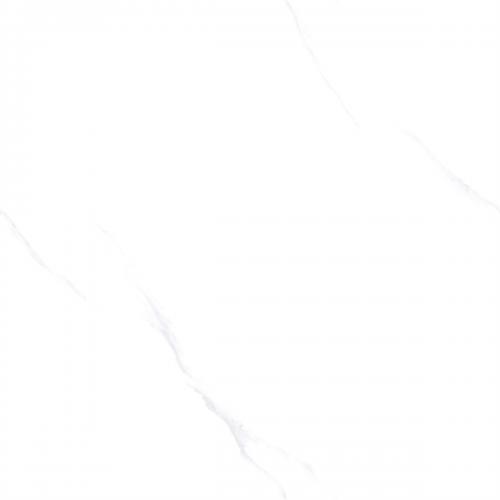 C8W601_02