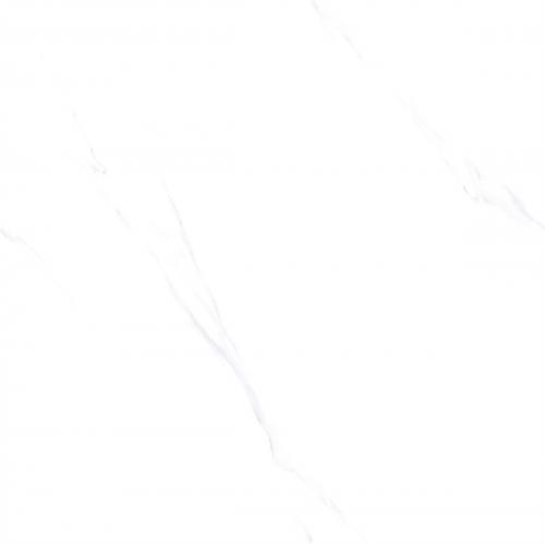 C8W601_03