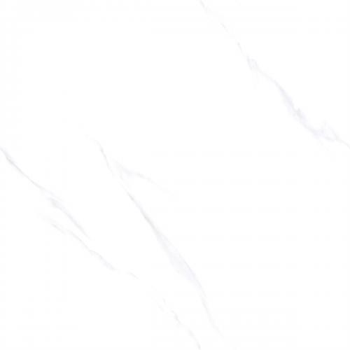 C8W601_04