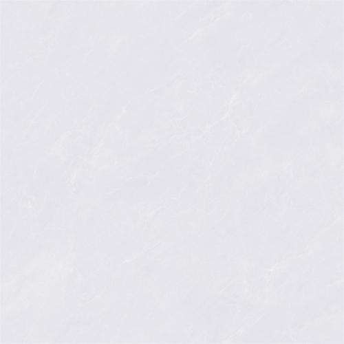 C8W603_04