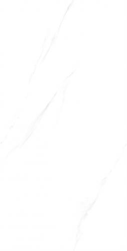C84W601-(5)