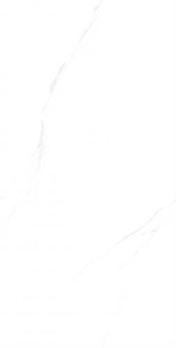 C84W601-(6)