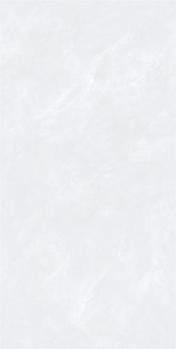 C84W607-(2)