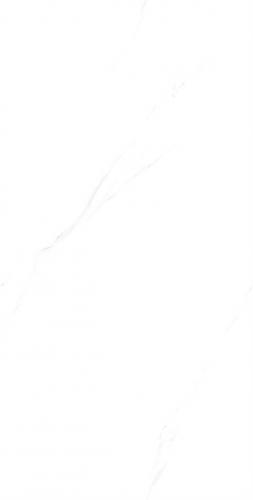 C15W601