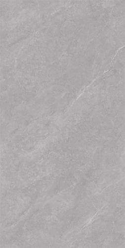 C15W609