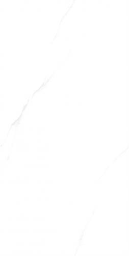 C15W601-(4)