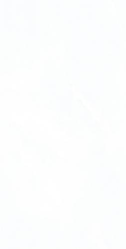 C15W602--(4)