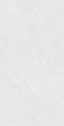 C15W603-(2)