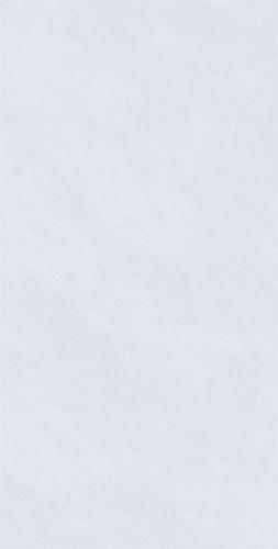 C15W606-(2)