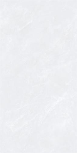 C15W607-(2)