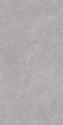 C15W609-(2)