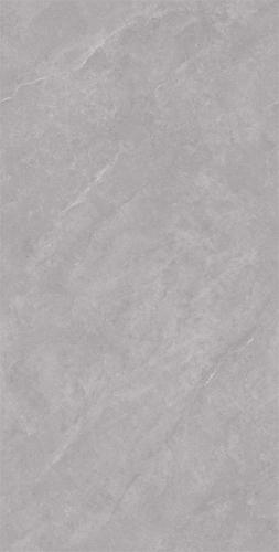 C15W609-(3)