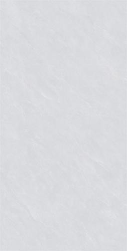 CW15F603