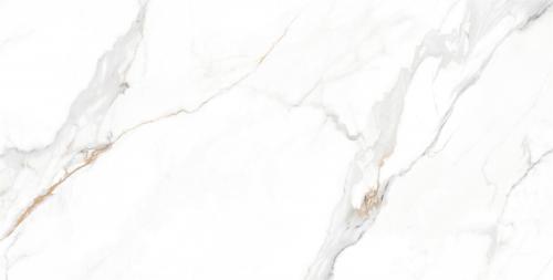 CG15W617科罗拉_03