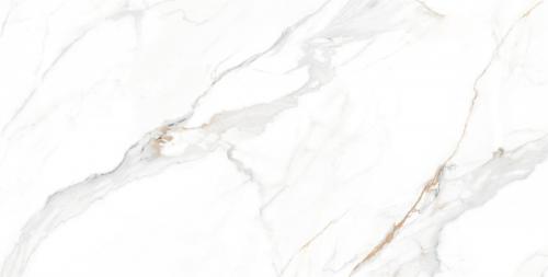 CG15W617科罗拉_06