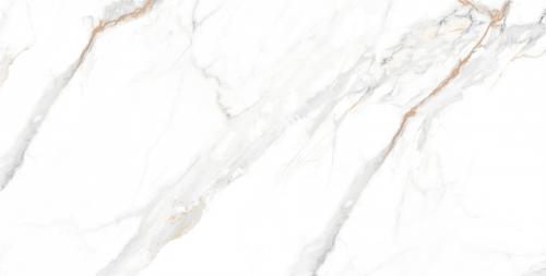 CG15W617科罗拉_05