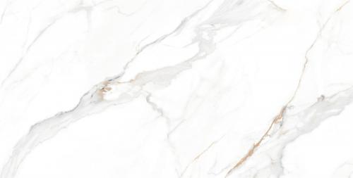 CR15W617科罗拉金丝绒_06