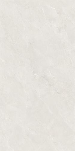 CC612Z02科罗拉_05