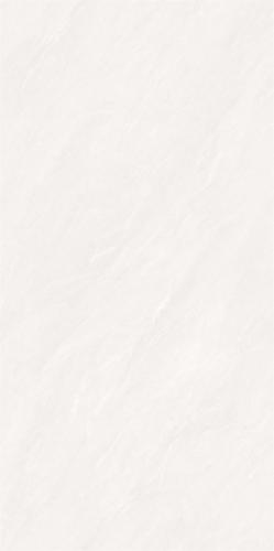 CC612Z06科罗拉_02